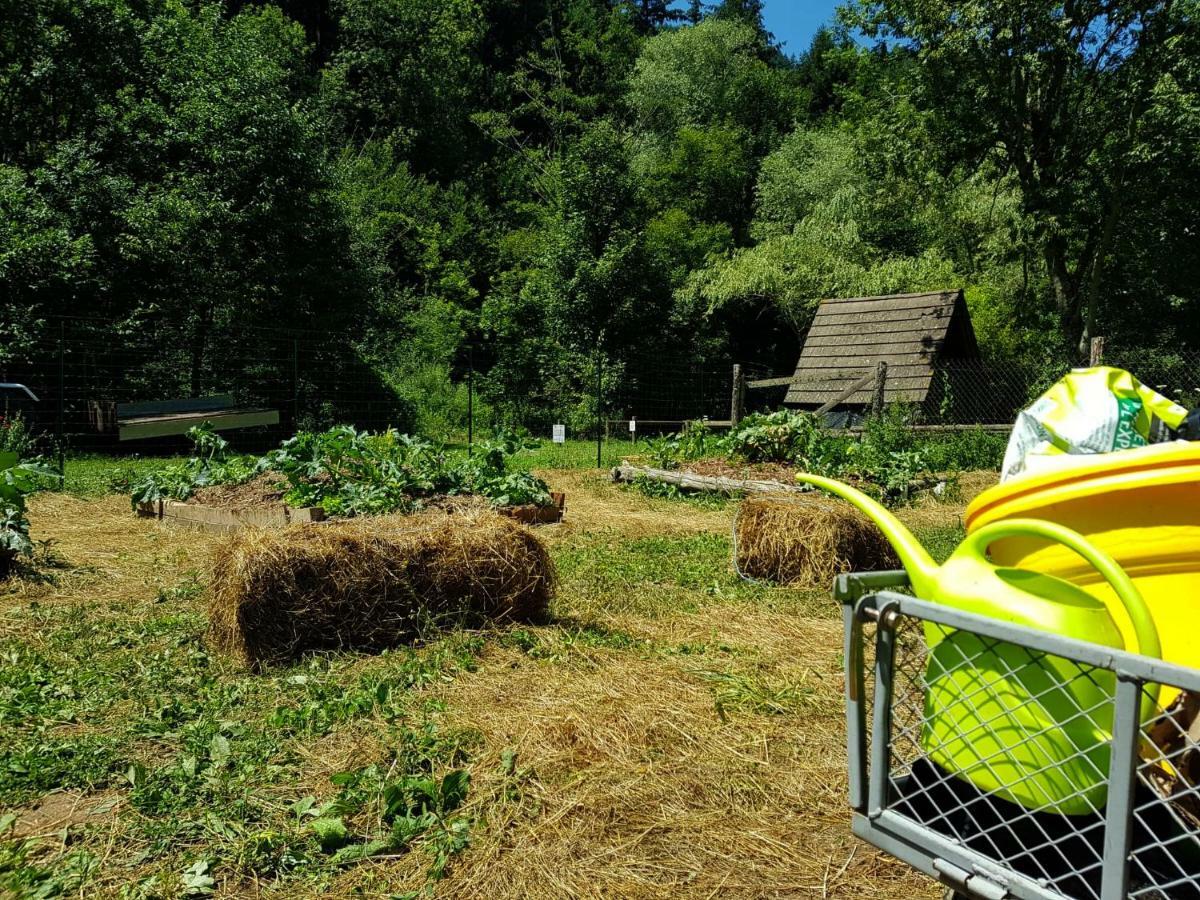 Vvf Sud Aveyron Hotell Brusque Exteriör bild